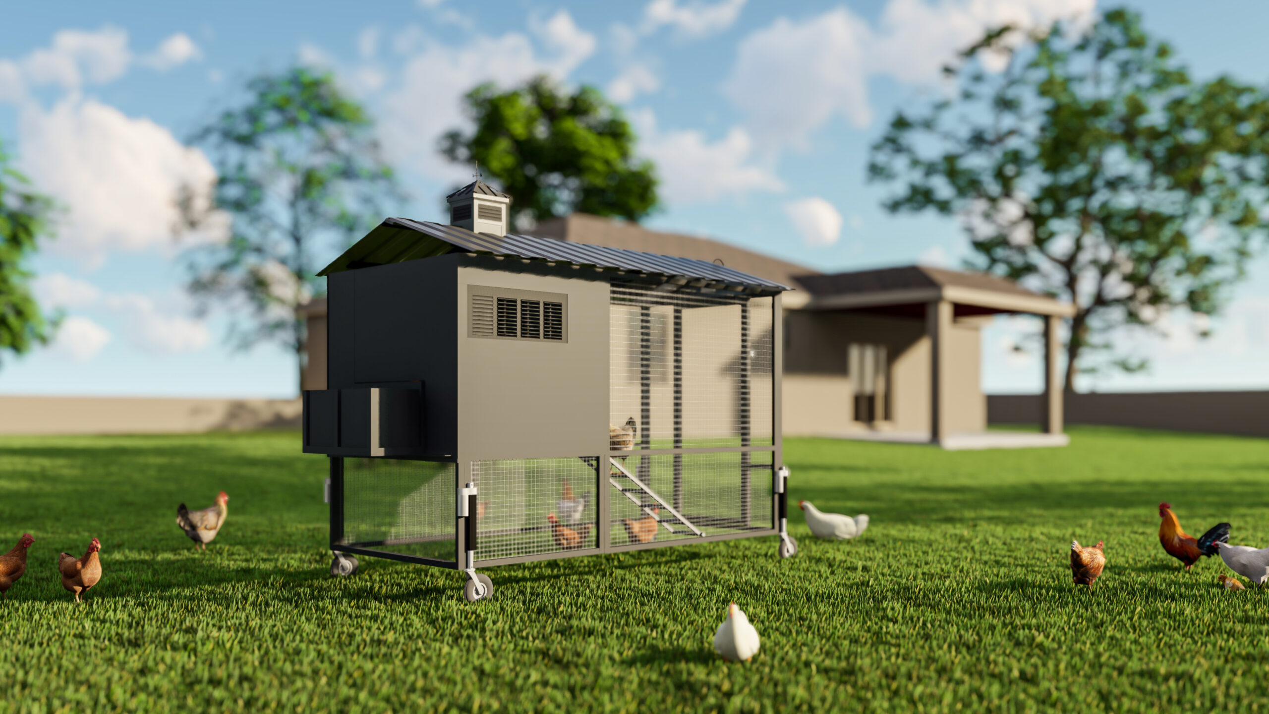 Learn About Modern Coop